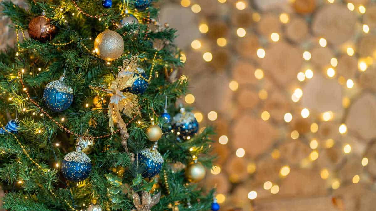 Enfeites de Natal: dicas para sua decoração