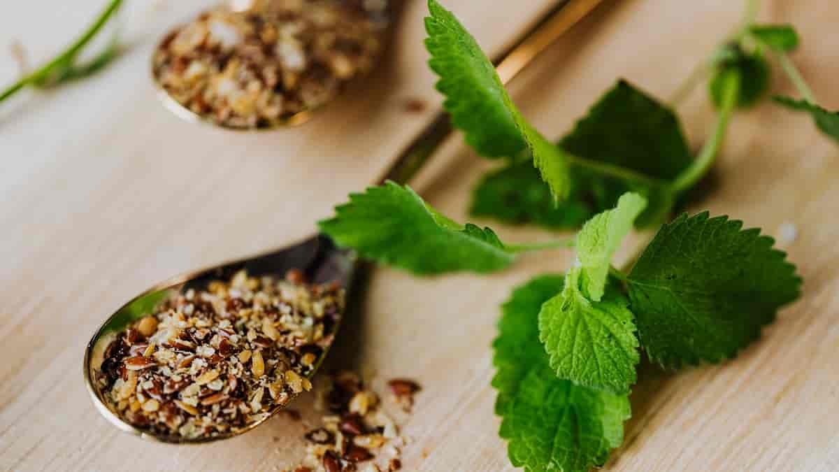 Chá de hortelã pimenta: conheça seus benefícios e como fazer