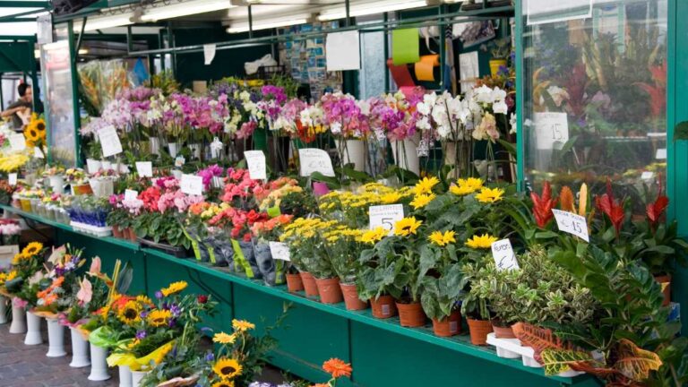 O mercado de Flores no Brasil