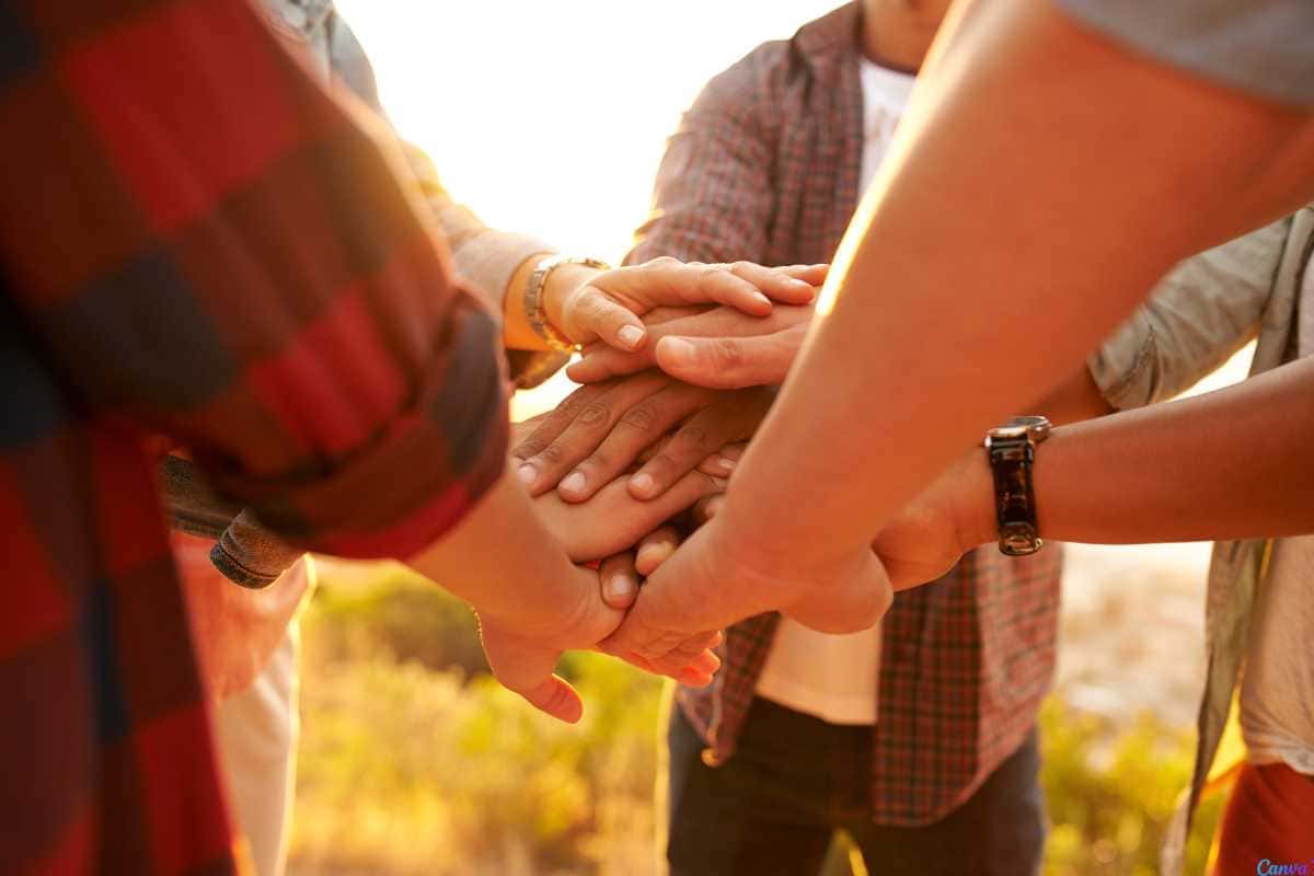 Os princípios do cooperativismo e sua importância