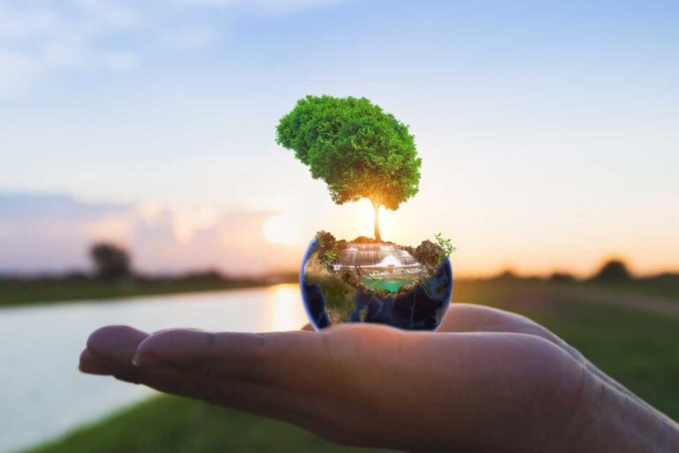 Sustentabilidade ambiental: caminhos para um futuro verde