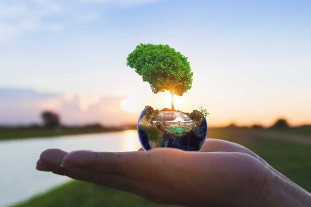 Sustentabilidade ambiental: caminhos para um futuro verde Sustentabilidade ambiental: caminhos para um futuro verde
