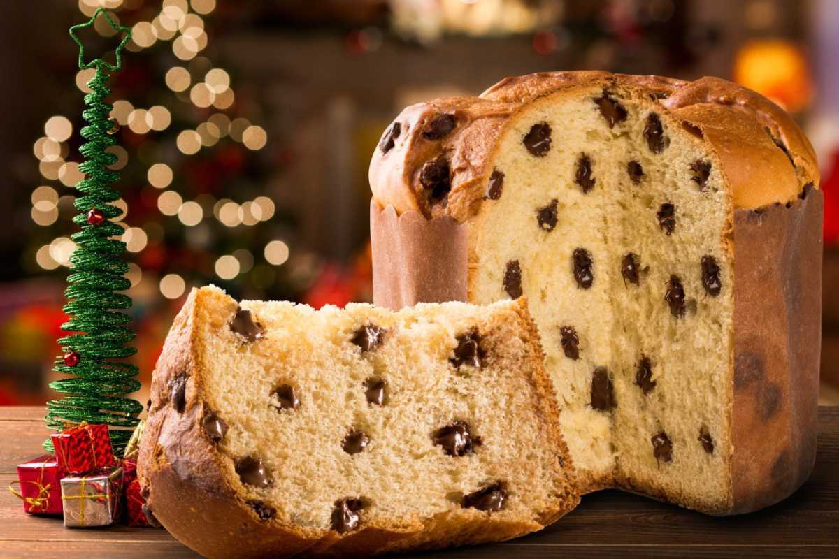 Chocotone: sabor e tradição para deixar seu Natal mais doce