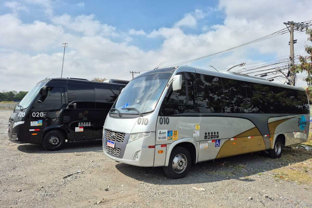 Aluguel de vans: que tipos de veículos estão disponíveis na região de São Paulo? Aluguel de vans: que tipos de veículos estão disponíveis na região de São Paulo?